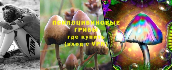 стафф Вяземский