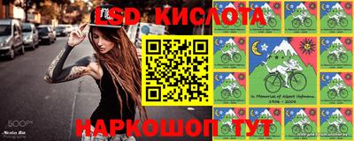 стаф Малгобек