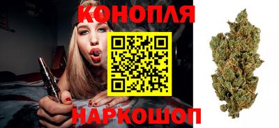 стаф Малгобек