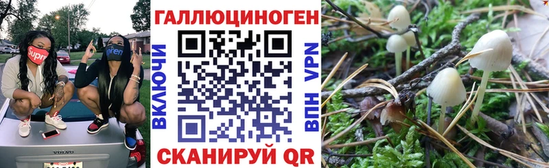 Псилоцибиновые грибы MAGIC MUSHROOMS  darknet наркотические препараты  Заринск 