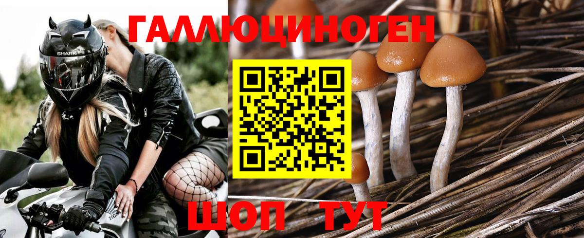 Галлюциногенные грибы мухоморы Заринск